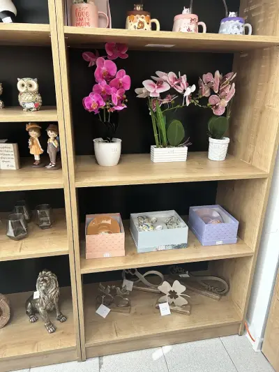 Decor Dreams Emporium