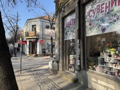 Ива Арт