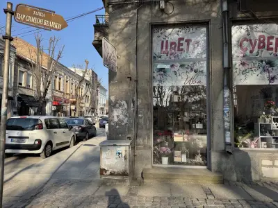 Ива Арт