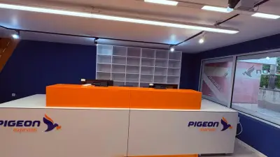Pigeon Express - офис Дървеница