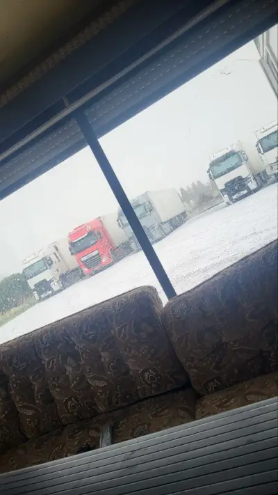 Джи Би Джи Транс ЕООД