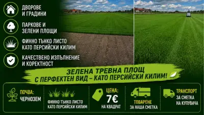 Тревни чимове - с. Глумче, ЗП Станимир Йорданов