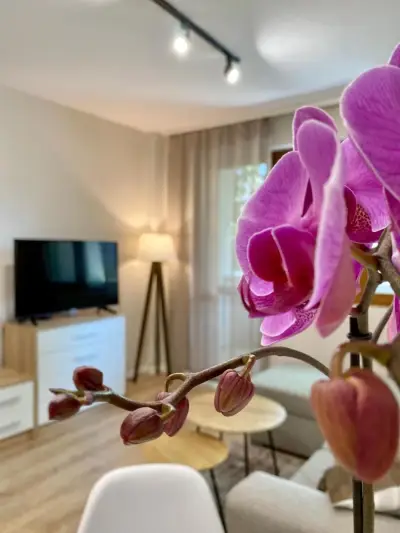 City Centre Bright & Cozy Apartment
