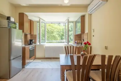 Modern Brand Apartment Sofia