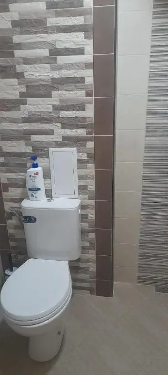 Pliska Apartment Montana
