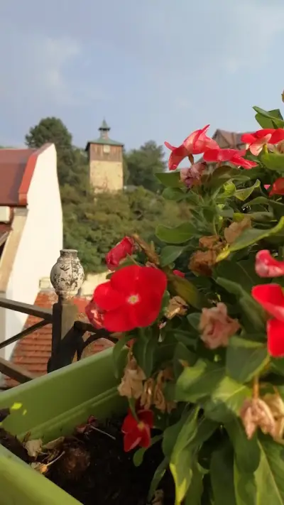 Casa,, VANNI"