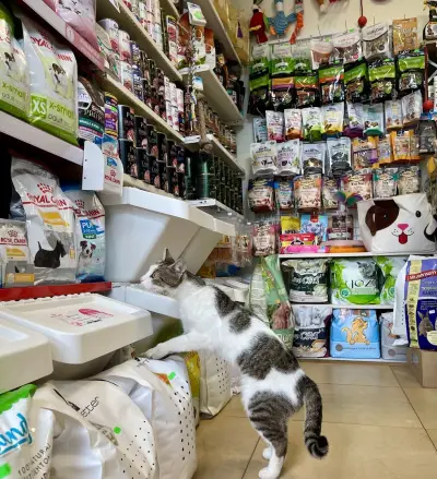Зоомагазин Дианабад 🐾