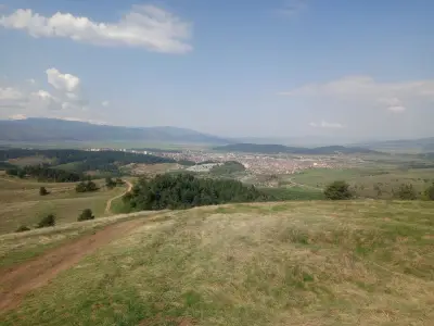 Дъбова глава