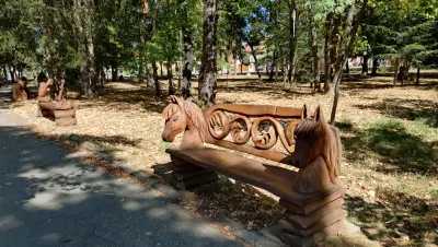 Алея с карвинг пейки
