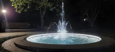 Fountain of Youth