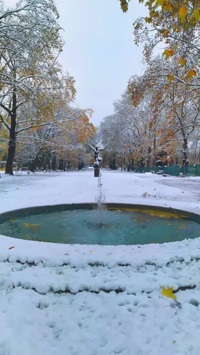 Fountain of Youth