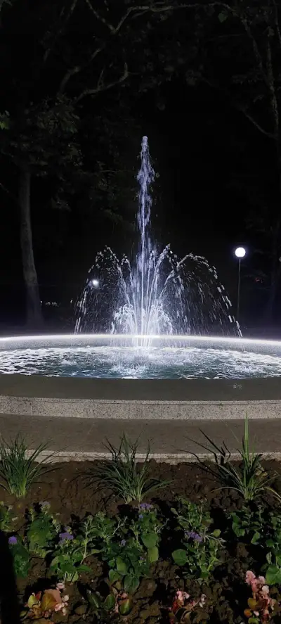 Fountain of Youth