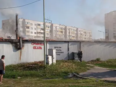 Регина
