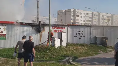 Регина
