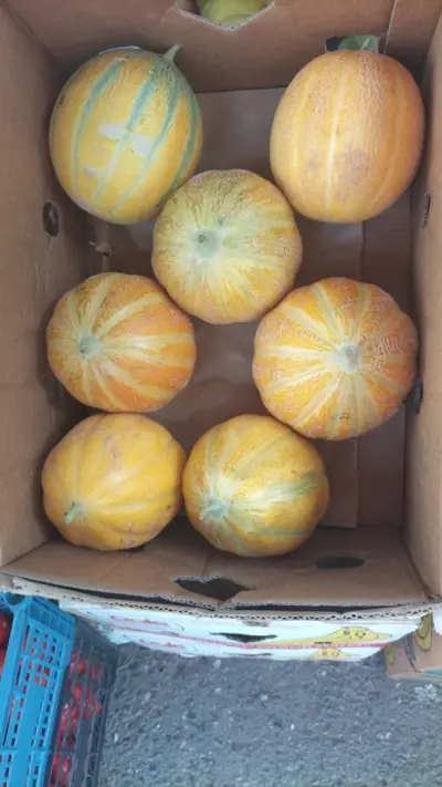Плод и зеленчук при Дарко