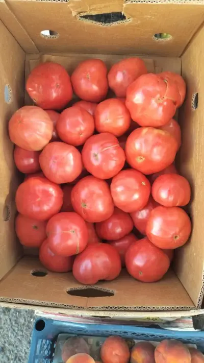 Плод и зеленчук при Дарко