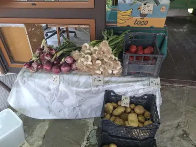 Семейното ранчо