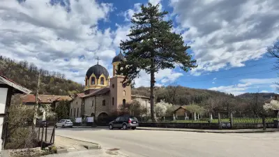 Кметство Плачковци