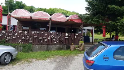 "SOKOL"