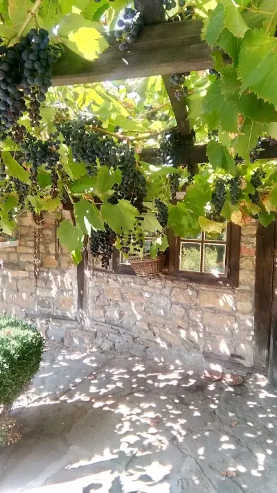 Guesthouse Peyna
