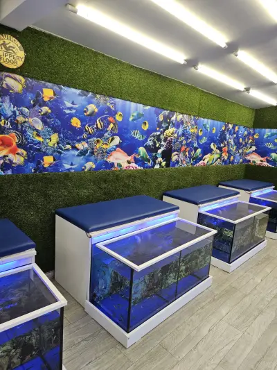 Fish SPA Massage Relax