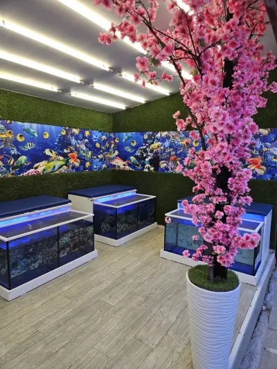 Fish SPA Massage Relax