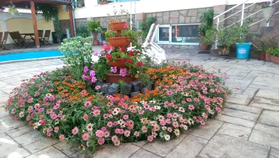 Шипка Ай Ти Хотел