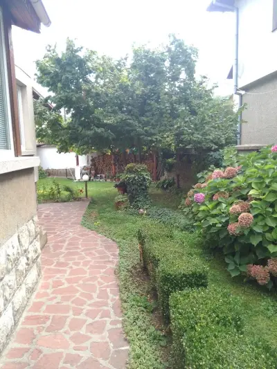 Borova House