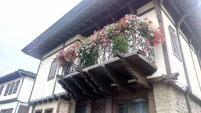 Borova House