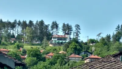 Borova House