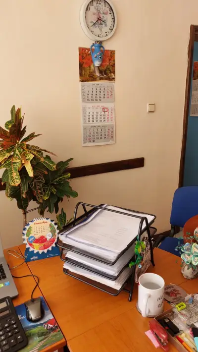 Счетоводна къща СОКОЛОВА ЕООД