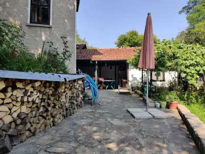 Guest House Pepeliana