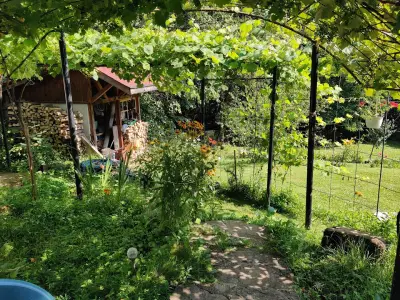 Guest House Pepeliana