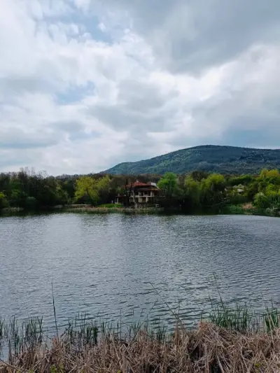 Вила Гергини