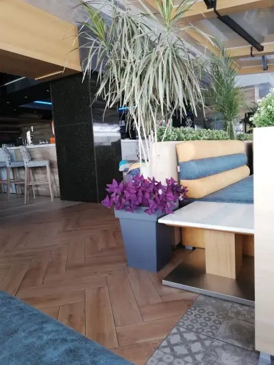 MODA BAR