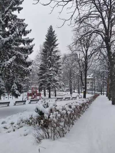Супермаркет Алекс