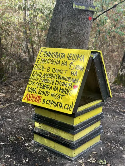 Boyanovata Cheshma