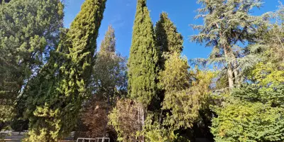 Fountain "Praskaloto"