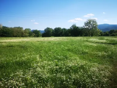 Могила "Бальовица"