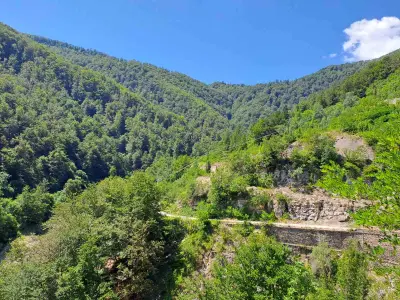 Гледката към Згориград