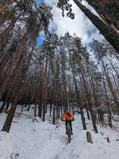 Драгиче