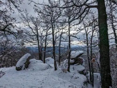 Драгиче