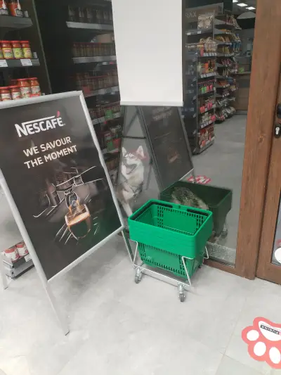 Minimart