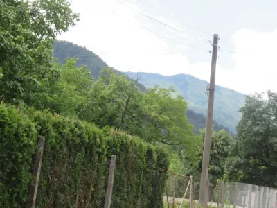 УОГС"Петрохан"