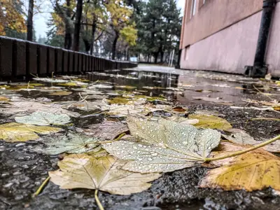Основно училище „Васил Априлов“