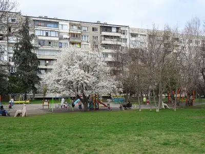 стрийт фитнес Младост 1