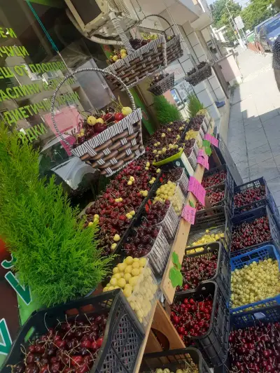 Плод и зеленчук "Зеленчуков рай"