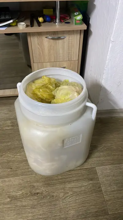 Плодове и Зеленчуци ,,МУЛТИ ФРУТ”