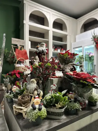 Belladonna Boutique