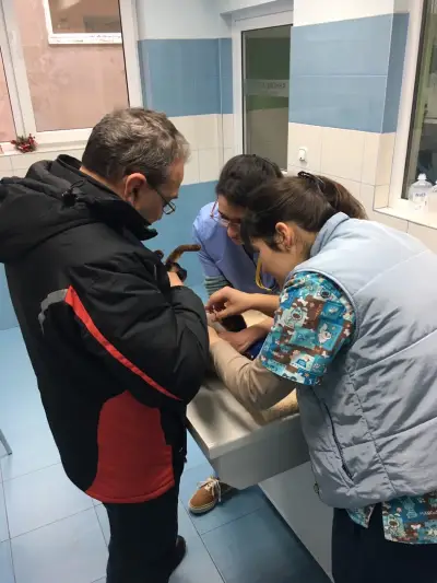 Veterinary Clinic